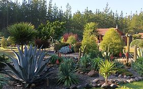 Eco Cabañas Algarrobo